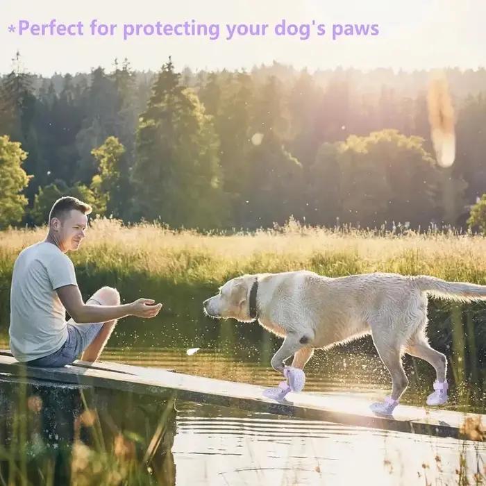 Nouvelles chaussures pour chien les plus vendues