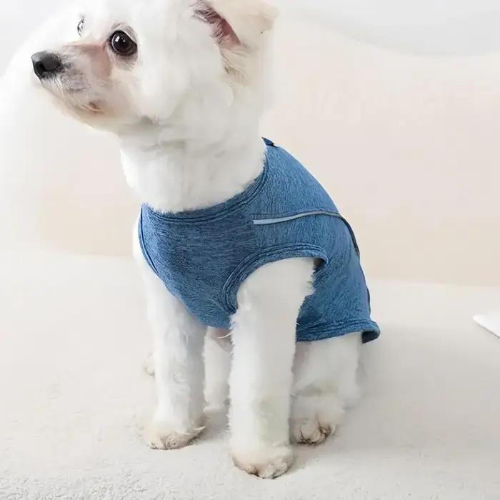 Gilet rafraîchissant pour chien tissu respirant polyester avec bandes réfléchissantes pour activités de plein air et promenades nocturnes
