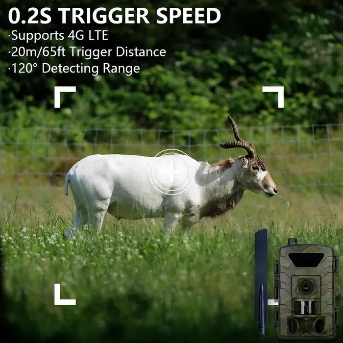 Caméra de chasse et de suivi des sentiers 4G SIM 60MP 1296P vision nocturne pour la faune activation par mouvement pour l'extérieur