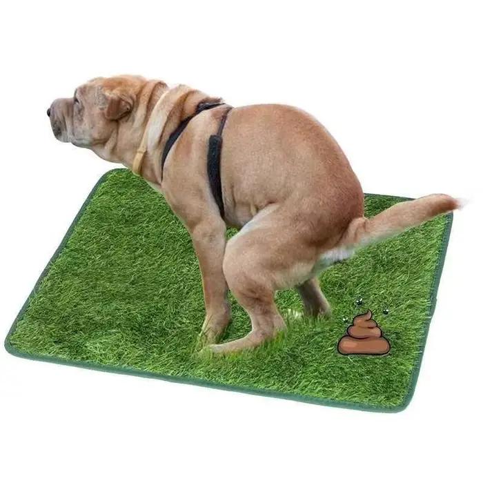 Tapis de toilette réutilisable pour chien tapis d'herbe artificielle toilettage facile et durable pour balcon jardin et intérieur occasions spéciales pour animaux de compagnie