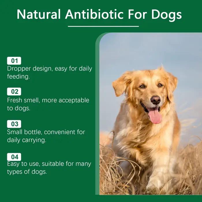 Supplément multivitaminique YEGBONG pour renforcer le système immunitaire de votre chien soulage l'inconfort de la peau améliore la santé générale des chiens occasions spéciales