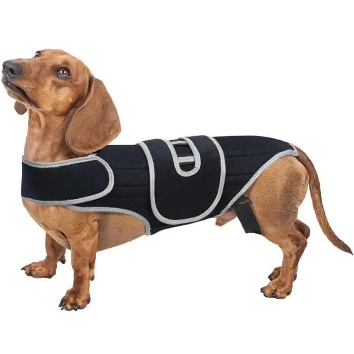 Attelle de soutien dorsal pour chien – Soulage la dysarthrose vertébrale, la dysplasie de la hanche,