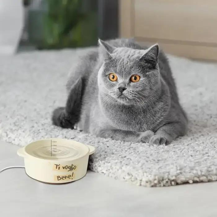 Filles d'eau en céramique pour animaux de compagnie