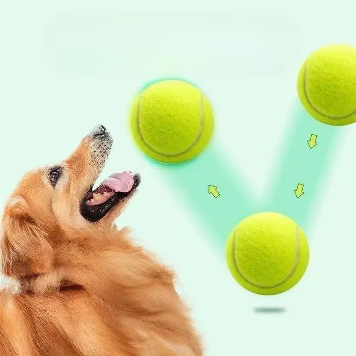 Balles de tennis pour chiens