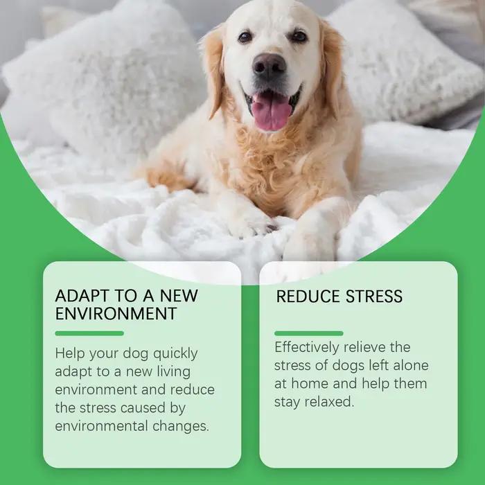 Phéromones pour animaux de compagnie diffuseur apaisant chat chien calme relaxant soulagement des émotions