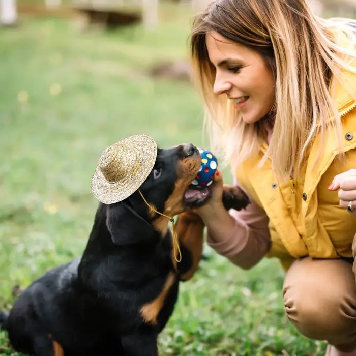 Chapeau de paille tressé tendance pour animaux de compagnie