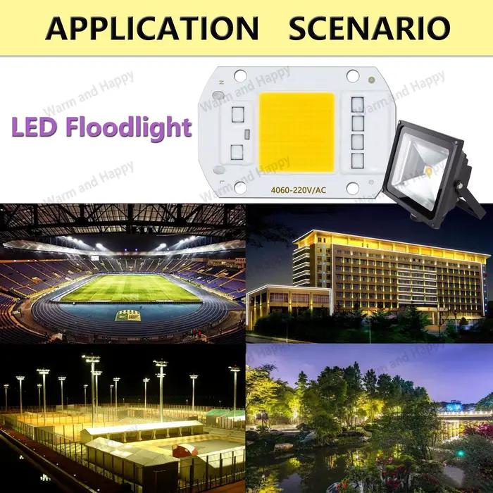 Puces IC intelligentes pour budgétaire LED, 10 pièces, 50W, AC 220V, pas besoin de pilote, COB, perl