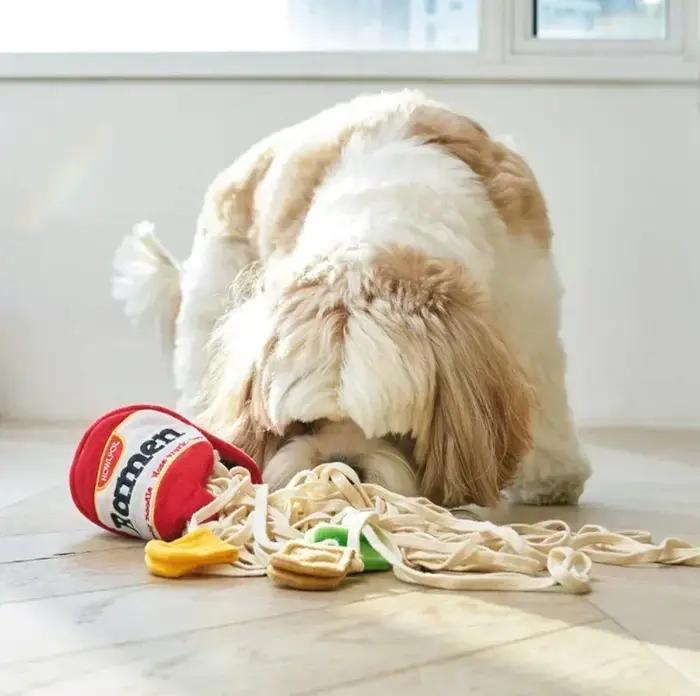 Chiens Snuffle jouets chiot chien nez jouet d'entraînement
