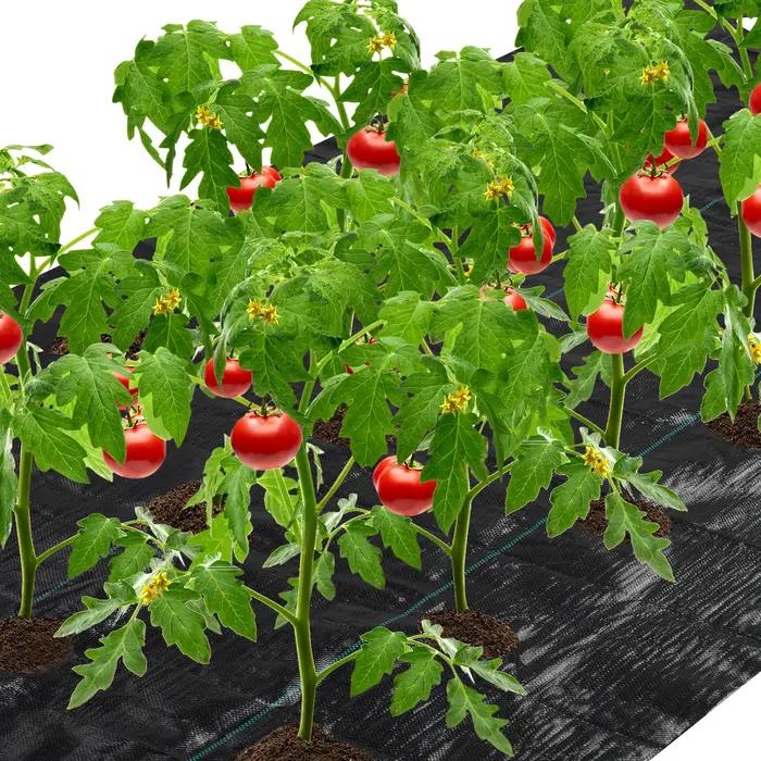 4 pi x 6 pi 6 po. Nuit de mauvaises herbes avec trou de plantation, couverture de jardin, lit suréWe