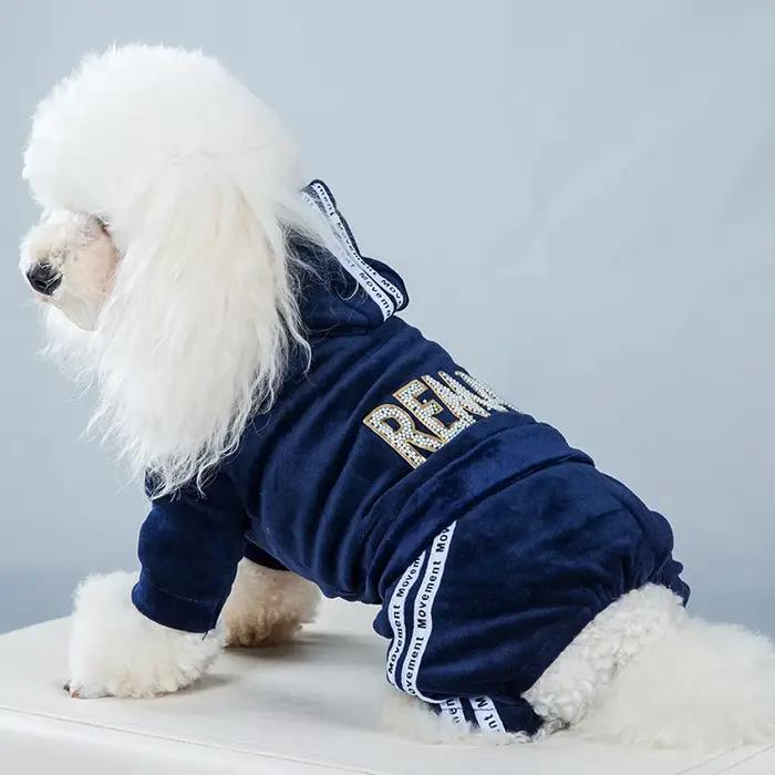 Vêtements de luxe en velours pour chien