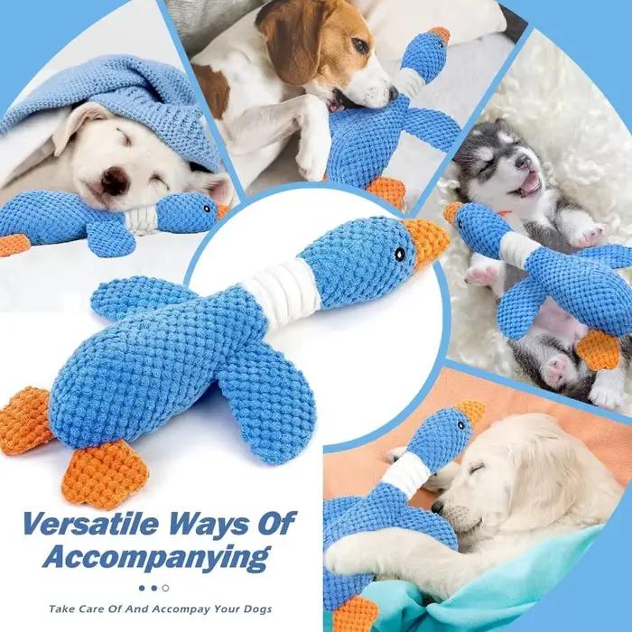 Jouets en peluche pour chiens résistants avec sons amusants pour apaiser et divertir chiots et chiens agressifs