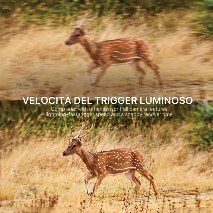 4K 30FPS Wifi caméras de chasse 940nm APP Surveillance sans fil Bluetooth contrôle Wifi900PRO 30MP faune Photo pièges enregistrement