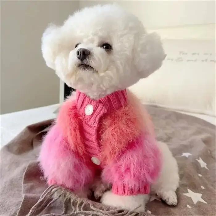 Pull en fausse fourrure blanc pour petits chiens Teddy Bichon Poméranien hiver confort sécurité