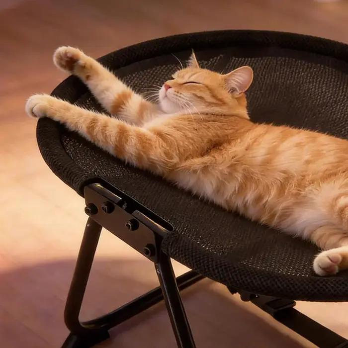 Lit pliable pour animaux de compagnie pour chats et petits chiens