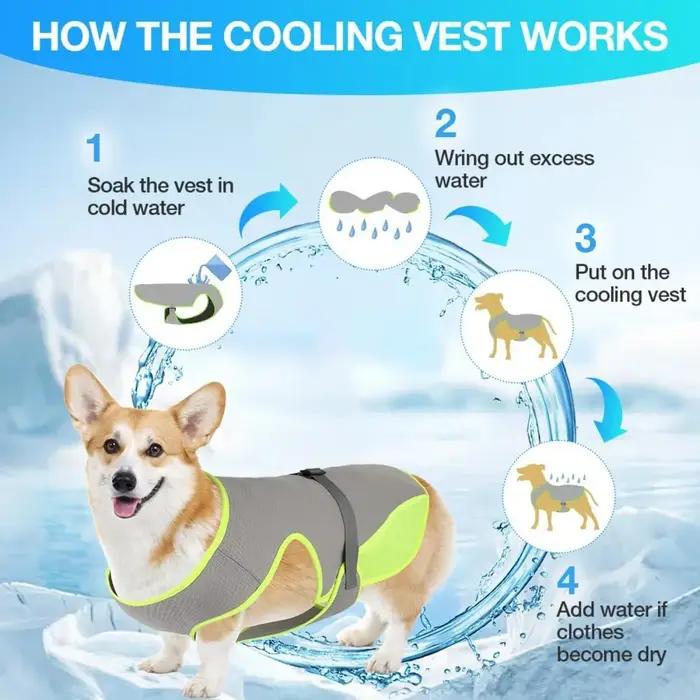 Gilet rafraîchissant pour chien