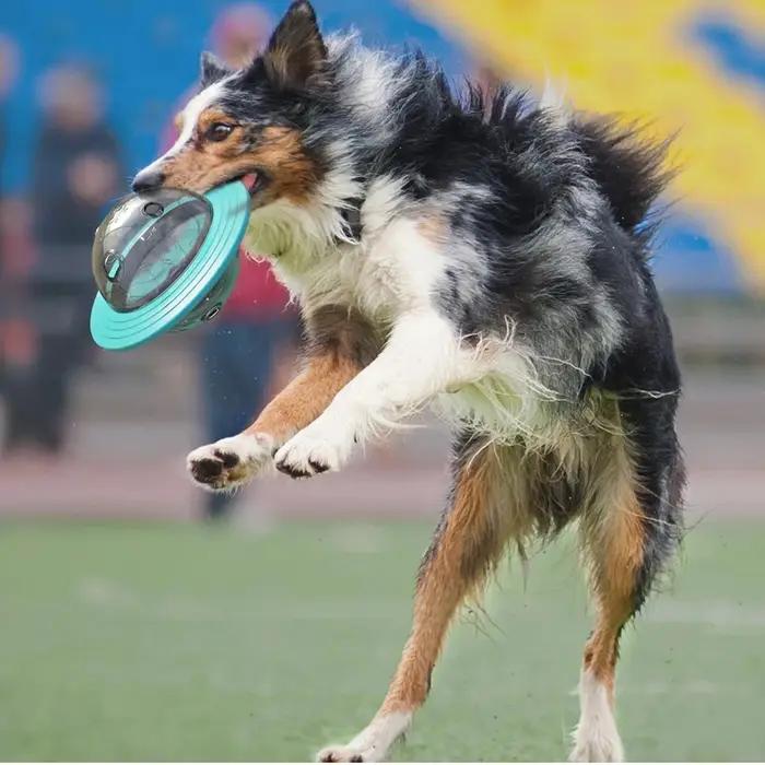 Jouet interactif pour chiens avec distributeur de friandises