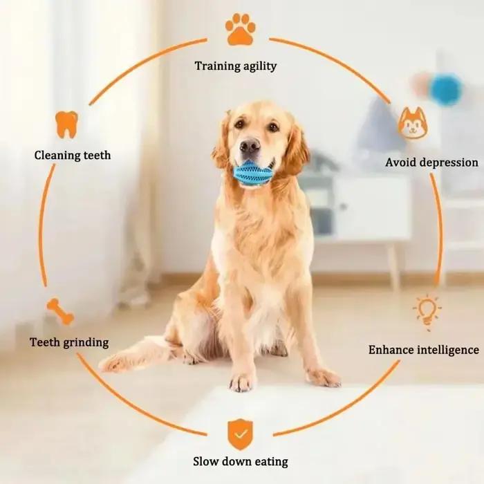Jouets à mâcher en caoutchouc naturel pour chiens de différentes tailles et couleurs pour la santé bucco-dentaire et le plaisir de jouer