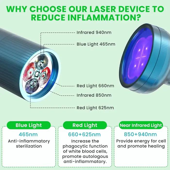 Appareil de thérapie au Laser vétérinaire pour chiens
