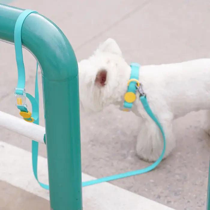 Laisses pour animaux de compagnie