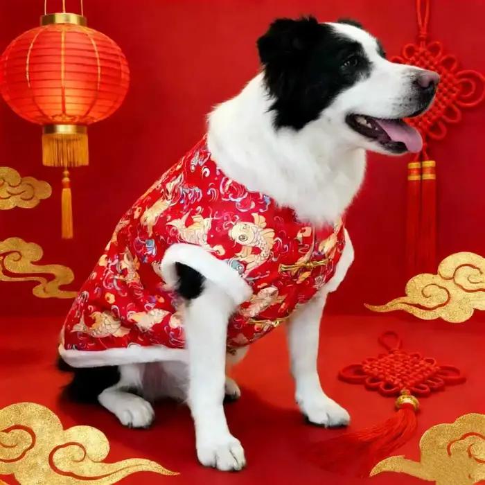 Vêtements pour animaux de compagnie à motifs traditionnels chinois, vêtements pour chiens chauds et
