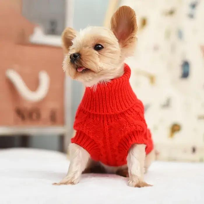 Pull en laine miss doggy pour chiens petite et grande race, style fashion pour l'automne-hiver à offrir