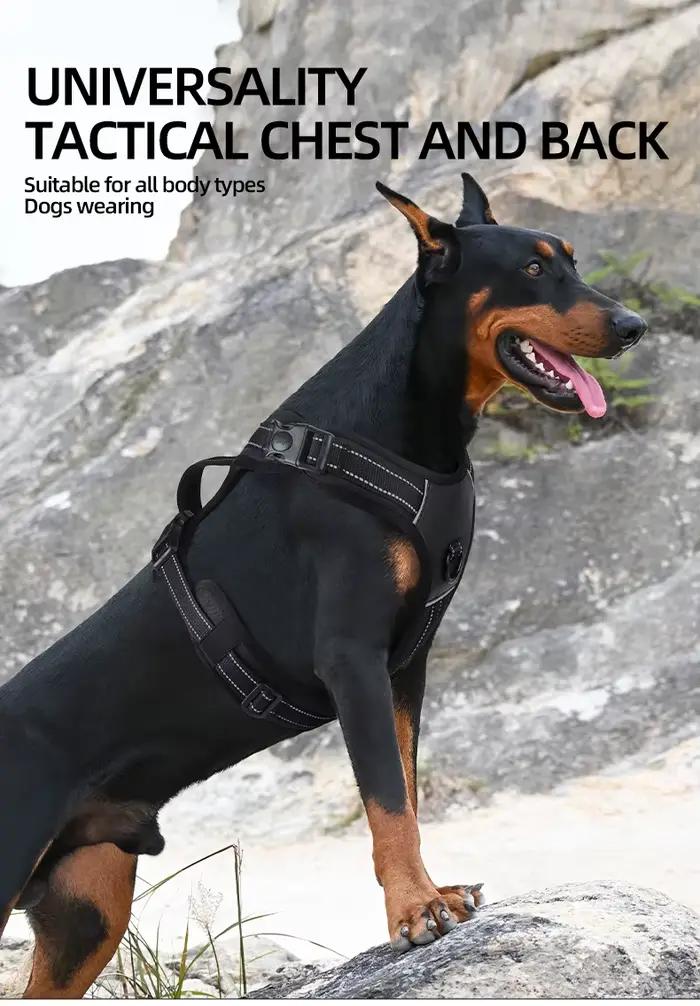 Harnais pour chien, harnais sans traction