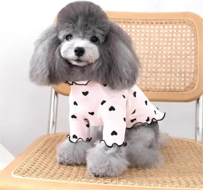Vêtements pour animaux de compagnie pour petits chiens et chats