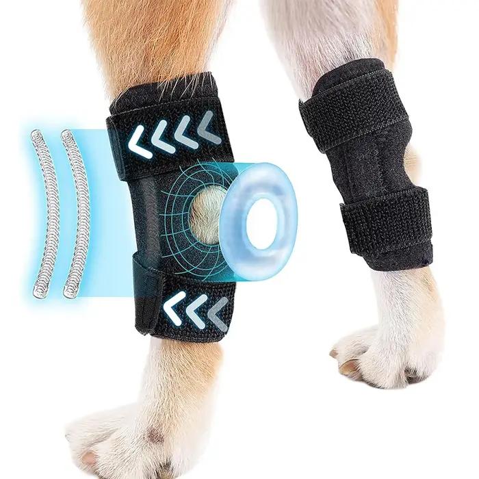 Récupération des blessures pour chiens