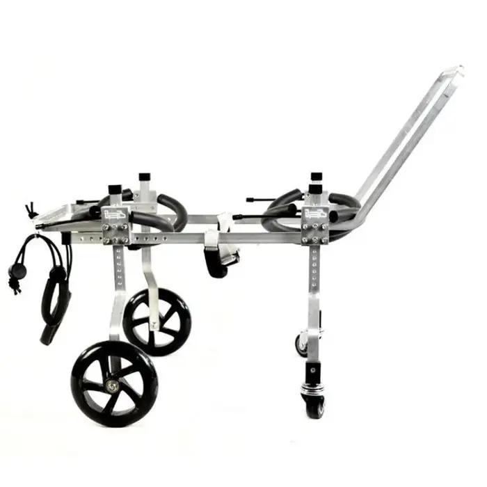 Chaises roulantes pour chiens paralysés