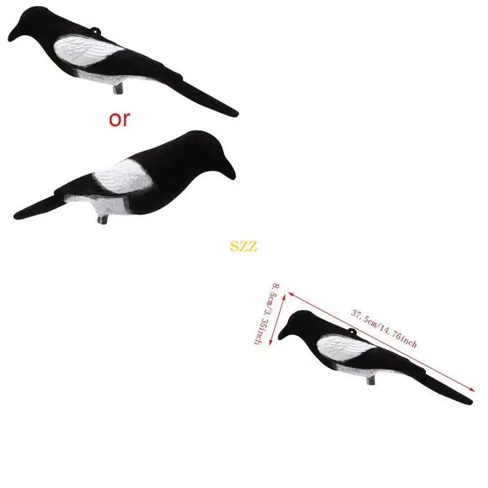 Leurre pie peint pour chasse au poste fixe avec appâts et appelants pour attirer les corvidés près de l'affût
