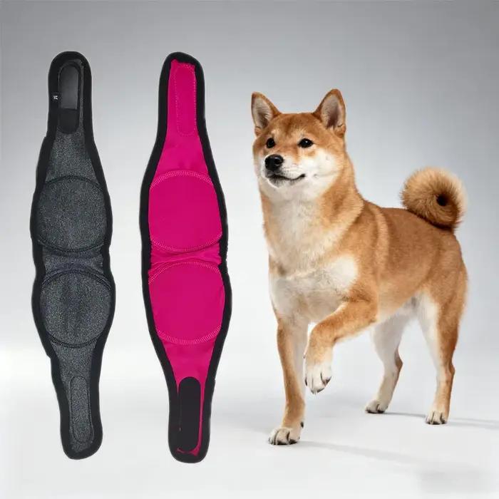 Cache-oreilles de protection auditive pour oreilles de chien pour la réduction du bruit