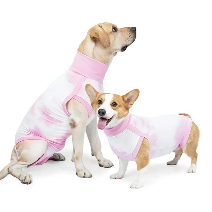 Combinaison de récupération pour chien