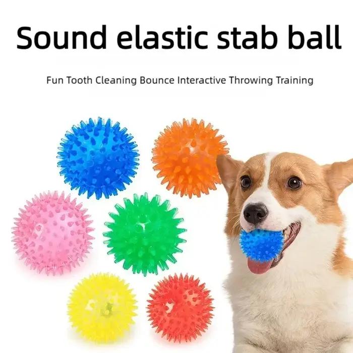 Jouet sonore durable en TPR pour chien et chat