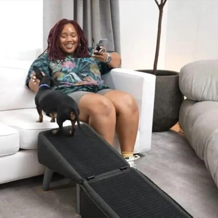 Rampe pour chien pliable pour lit