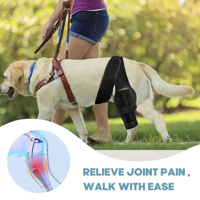 Genouillère solide pour chiens tissu pour soutenir jambes avant arrière blessées accidents chirurgie soins vétérinaires