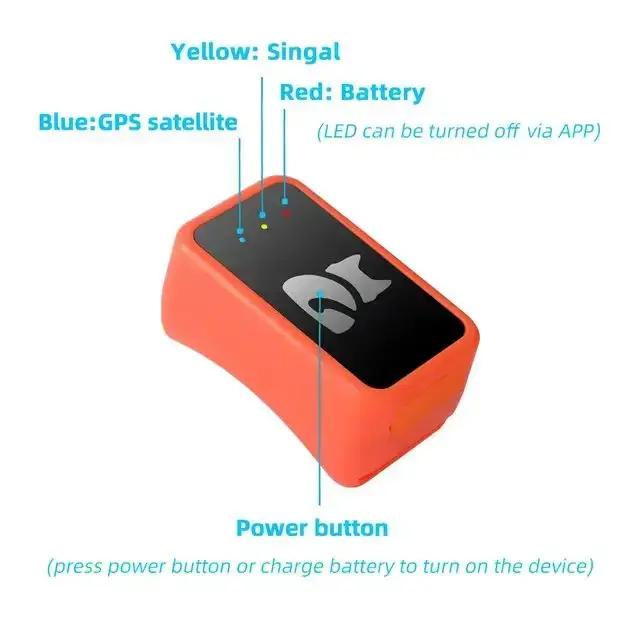 Positionnement de précision GPS 4G pour animaux de compagnie