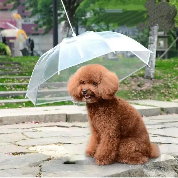 Garde-boue en peluche créatif pour petits chiens
