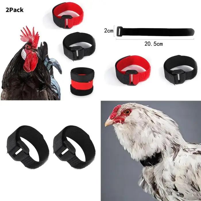 2x collier de coq Anti corbeau empêcher le poulet hurlant pour coq