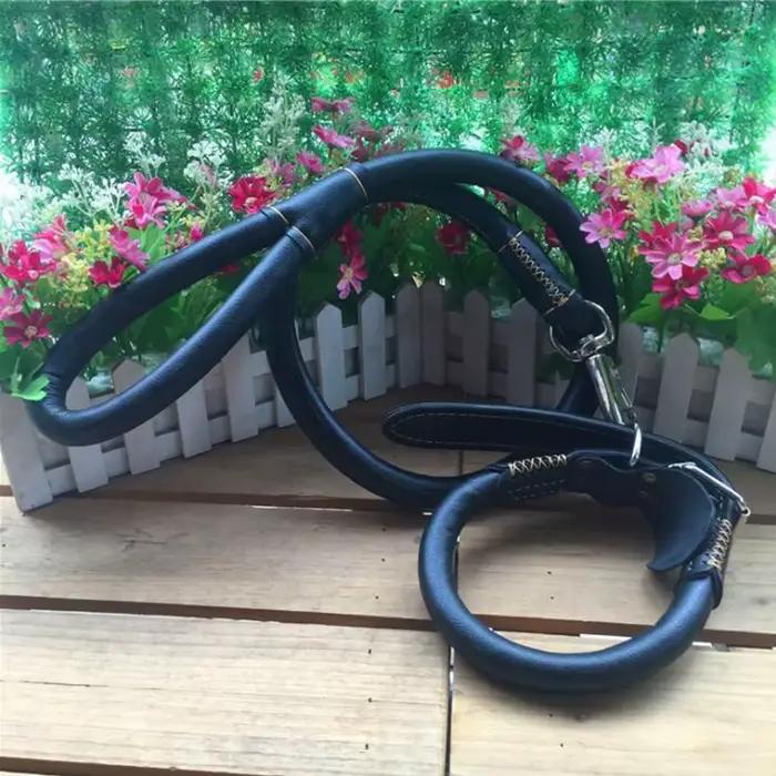 Ensemble collier et laisse en cuir véritable pour animaux de compagnie