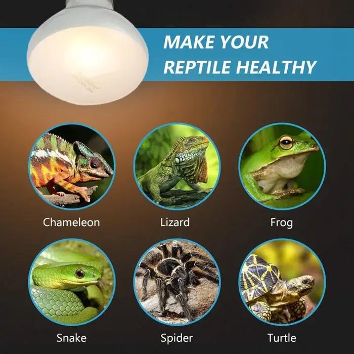 Ampoule chauffante Uvb Uva pour reptiles, vraie chaleur brillante semblable au soleil, reptiles, amp