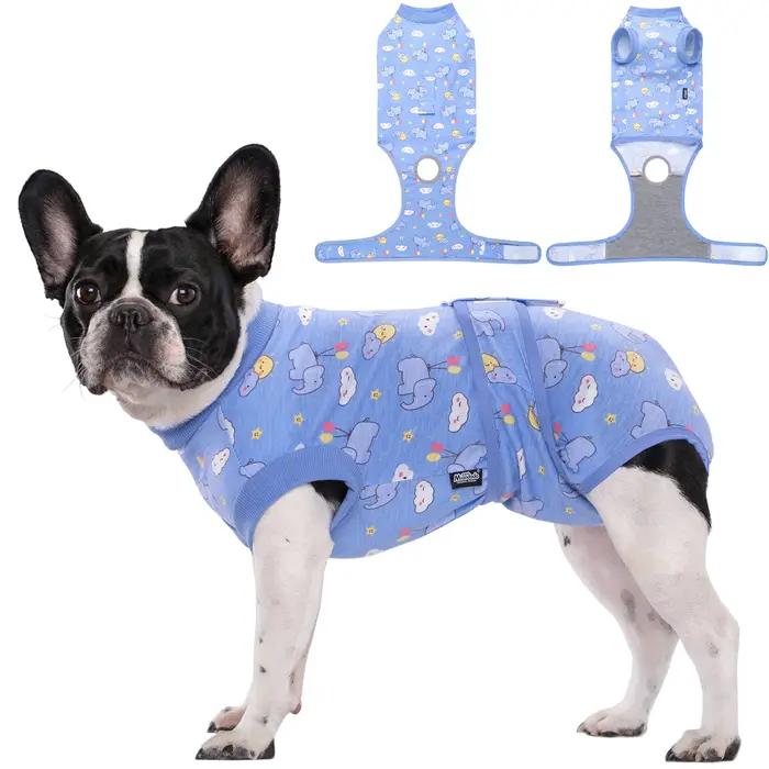 Combinaison de récupération pour chien après chirurgie chemise postopératoire pour animaux de compagnie protection des