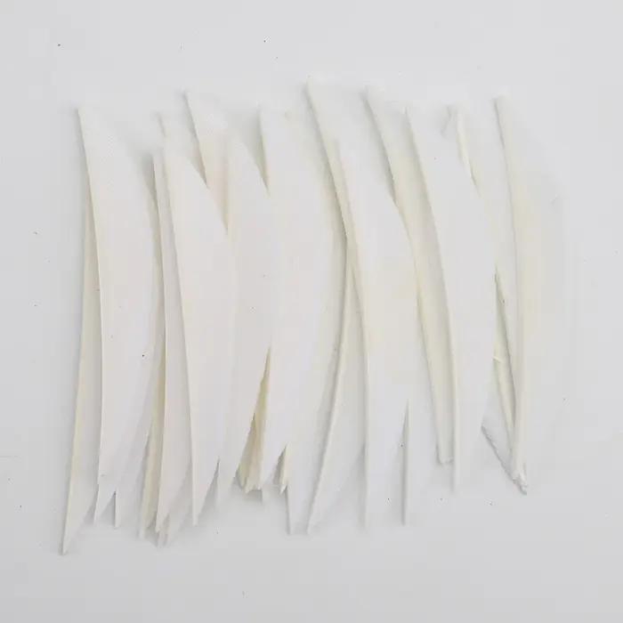 Plumes de dindon pour ailes de flèches, DIY Tir à l'arc, Chasse en carbone et bois, Accessoires de t