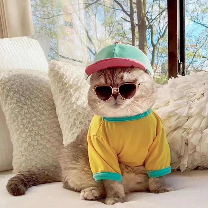 Lunettes de soleil réfléchissantes rondes vintage pour animaux de compagnie
