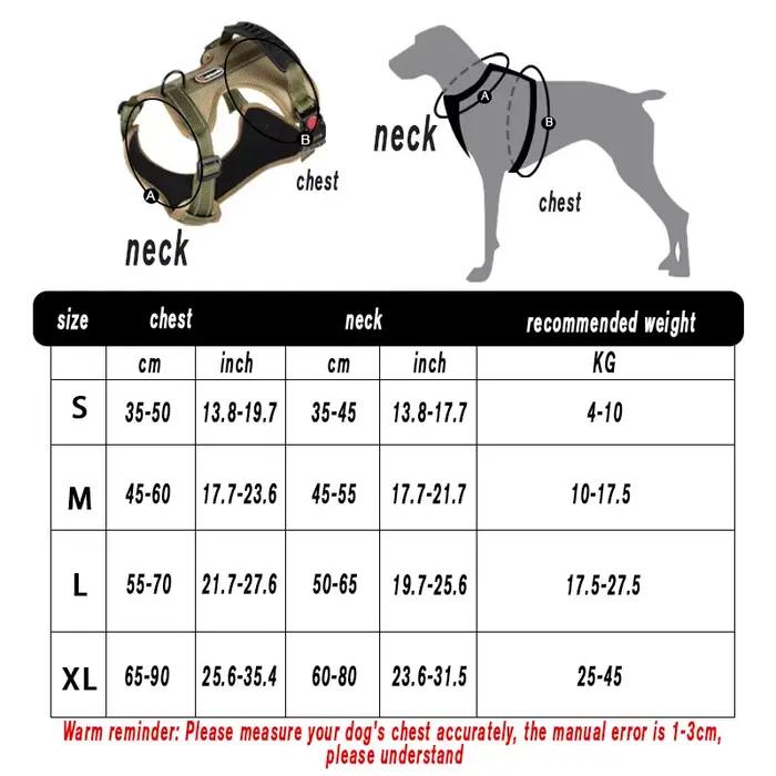 DobSuffolk-Collier de marche Pinscher SFP pour animaux de compagnie