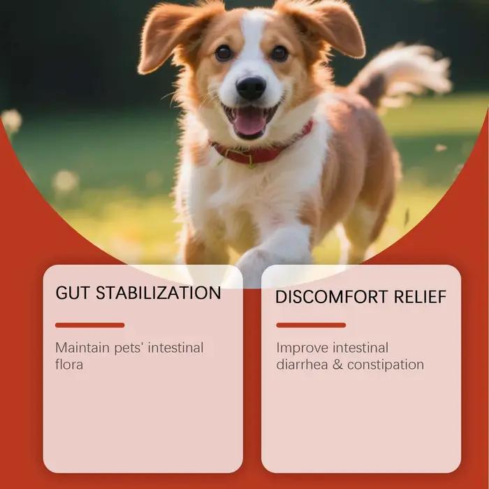 Complément Probiotique pour Animaux de Compagnie - Formule Douce pour Chiens, Soin Quotidien, Soutien au Confort, Santé Digestive et Renforcement Immunitaire