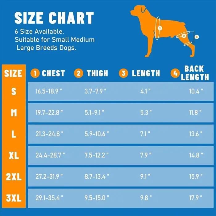 Attelle de jambe pour chien réglable avec 4 stabilisateurs métalliques – Soutien arrière pour la randonnée, l'exercice et les activités de plein air