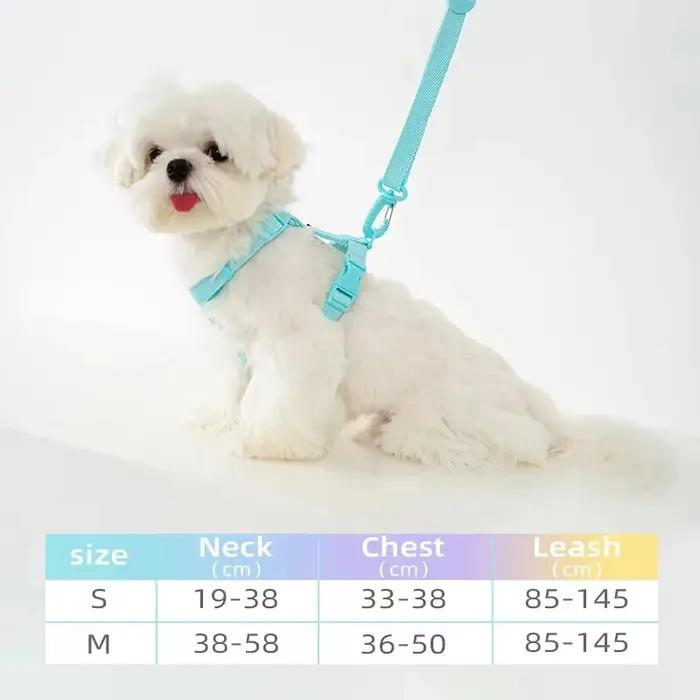 Ensemble de laisse de collier de harnais réglable pour chien