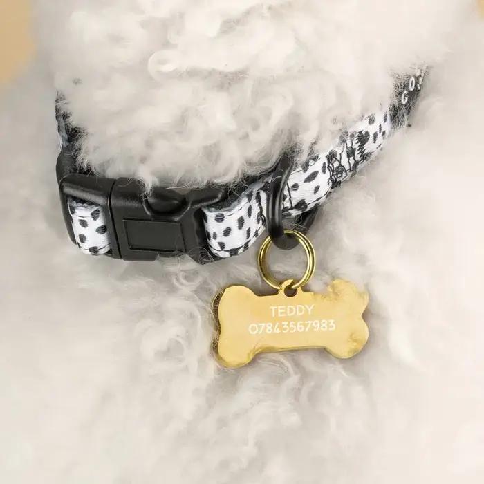 Étiquette d'identification de chien en acier inoxydable, gravée de nom et numéro de téléphone, personnalisée avec forme de patte, disponible en plusieurs couleurs et tailles pour animaux de compagnie