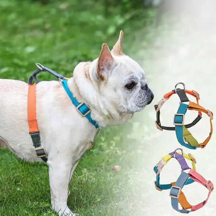 Harnais pour chien taille réglable en coton confortable et durable pour chiens de petite, moyenne et grande taille avec boucle pratique pour promenades en toute saison