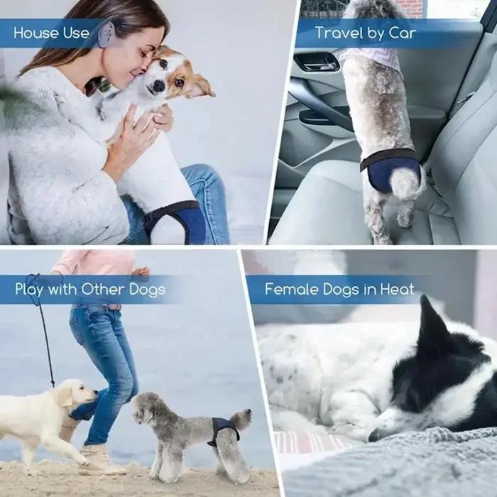 Slips menstruels physiologiques lavables pour animaux de compagnie, culottes d'hygiène anti-fuite pour petits et grands chiens, sous-vêtements hygiéniques pour animaux de compagnie